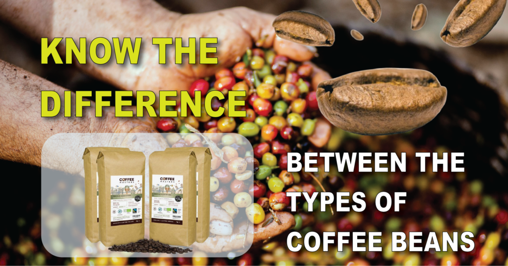 different types of coffee beans