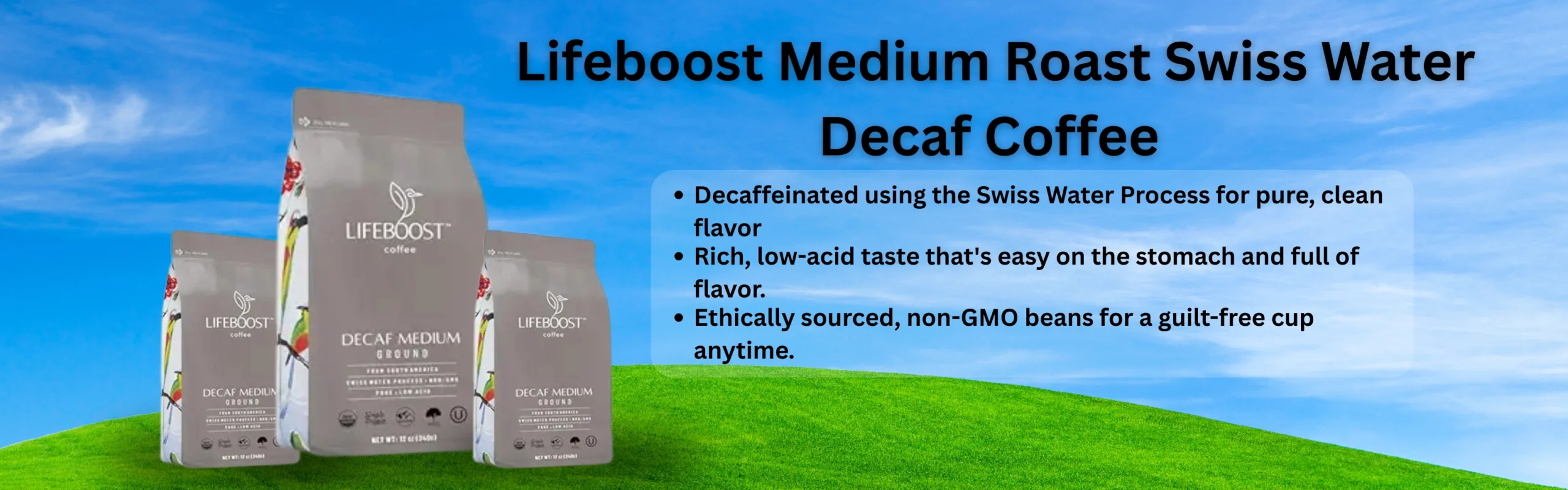 Best Home Coffee Roaster Machine