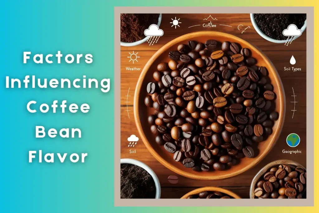 Best Coffee Bean