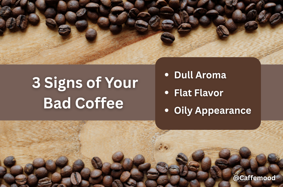 Shelf Life of Coffee Beans 