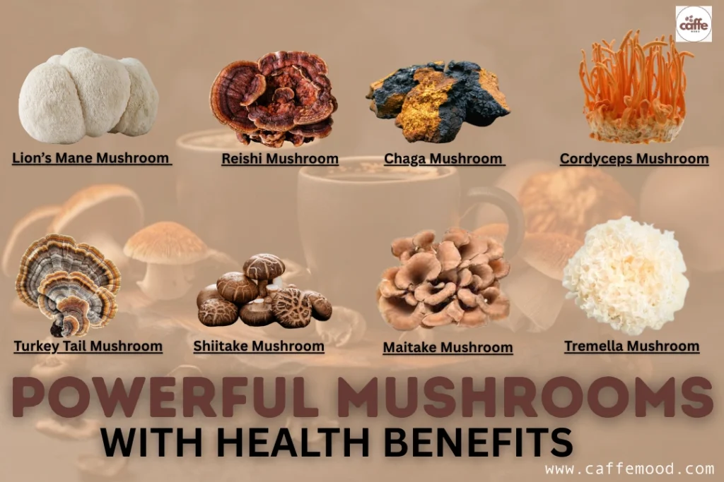 Types of Mushroom Coffee