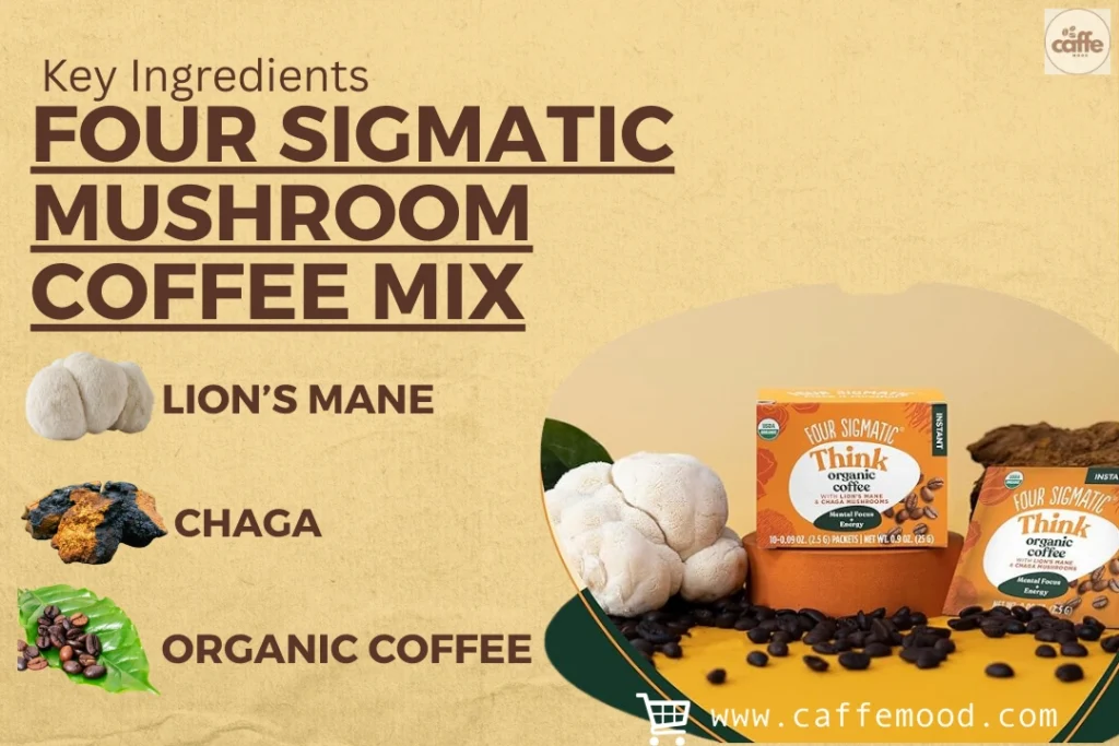 Best Mushroom Coffee Brands on Amazon