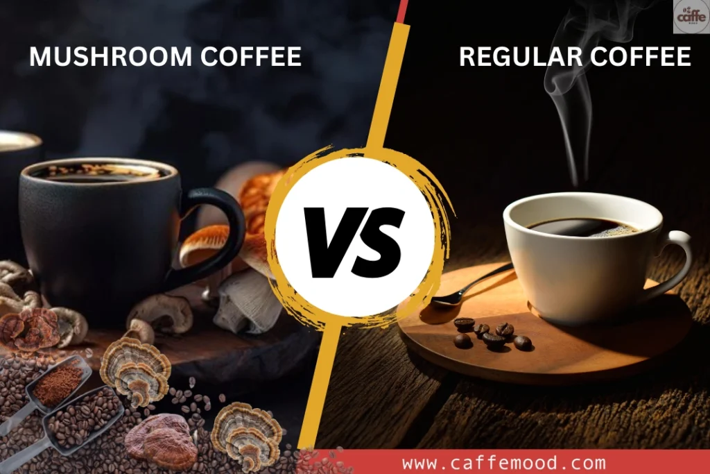 Best Mushroom Coffee Brands on Amazon