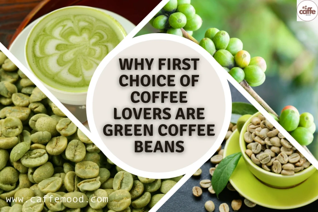 Buy Green Coffee Beans Online