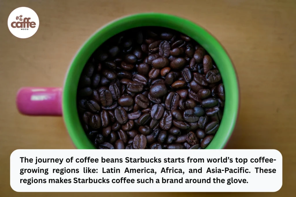 Origin of Starbucks Coffee Beans