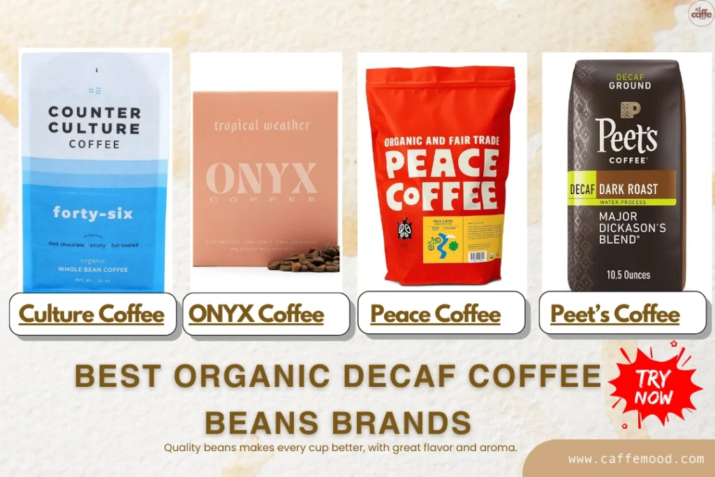 Best Organic Decaf Coffee