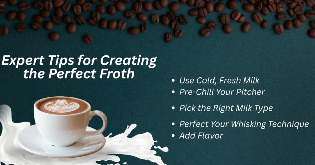 Commercial Milk Frother