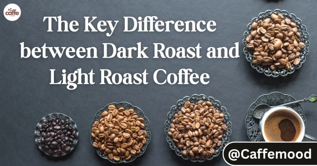 Dark Roast Coffee vs Light Roast