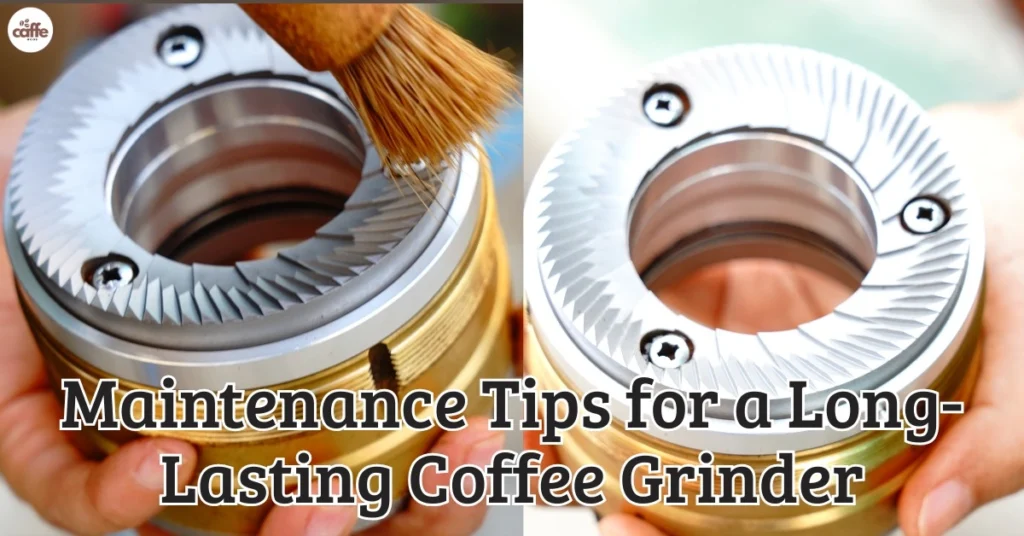 Best Coffee Grinders for Espresso