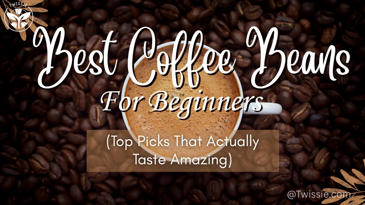 Best Coffee Beans for Beginners