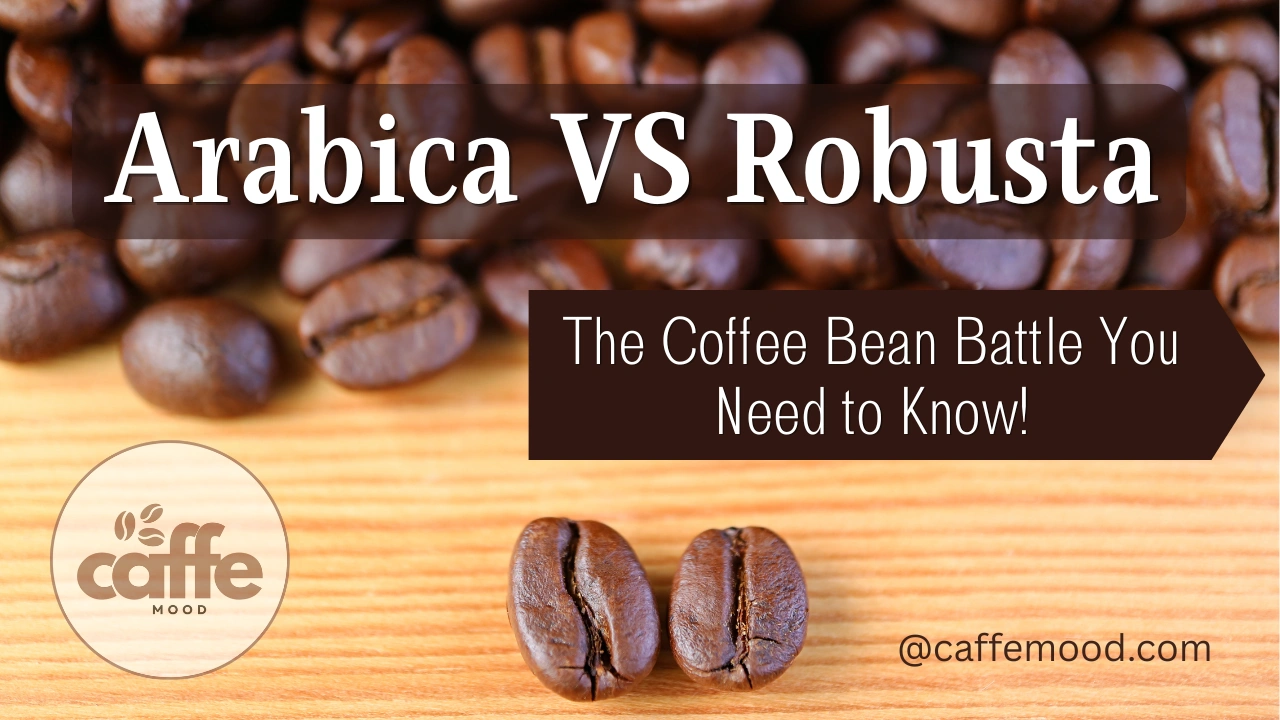 Arabica vs Robusta: The Coffee Bean Battle You Need to Know 11 Arabica vs Robusta