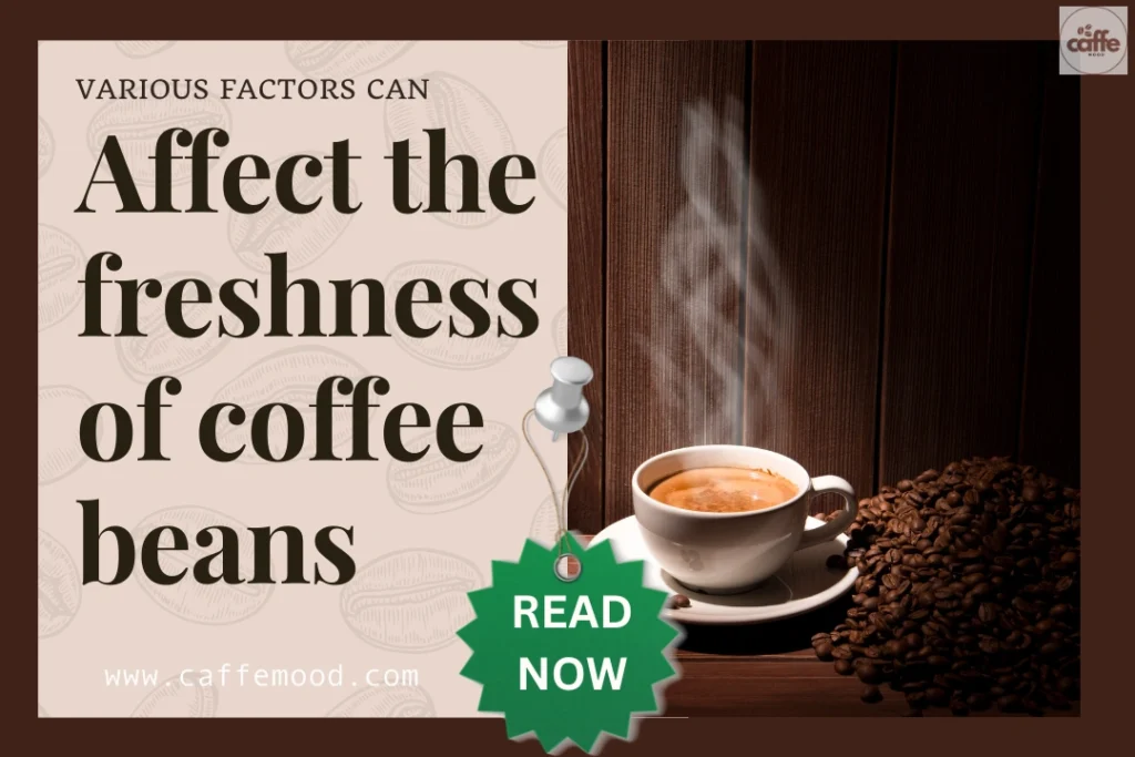Shelf Life of Coffee Beans