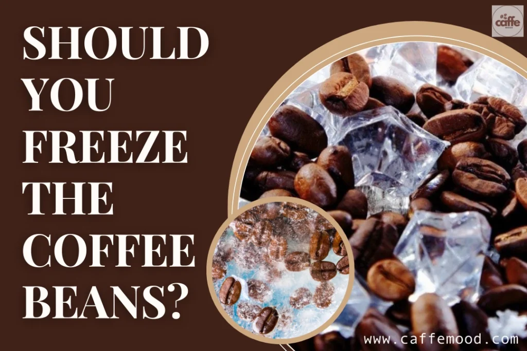 Shelf Life of Coffee Beans