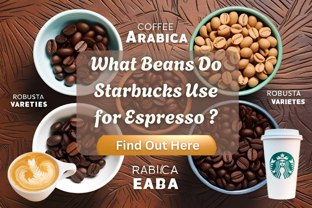What Beans Do Starbucks Use for Espresso