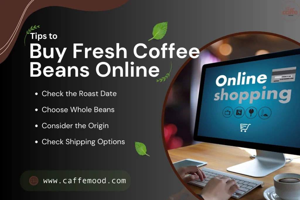 Buy Fresh Coffee Beans Online