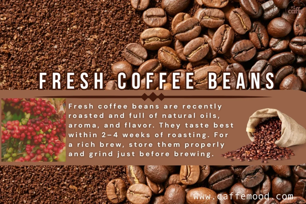Buy Fresh Coffee Beans Online