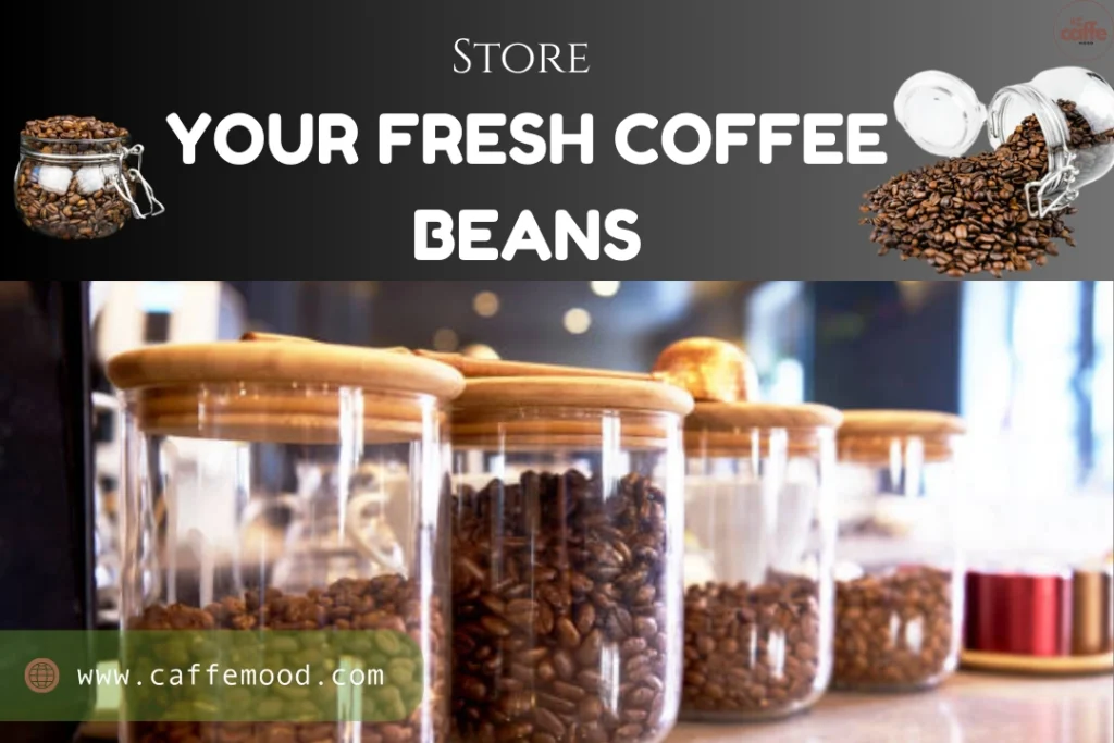 Buy Fresh Coffee Beans Online