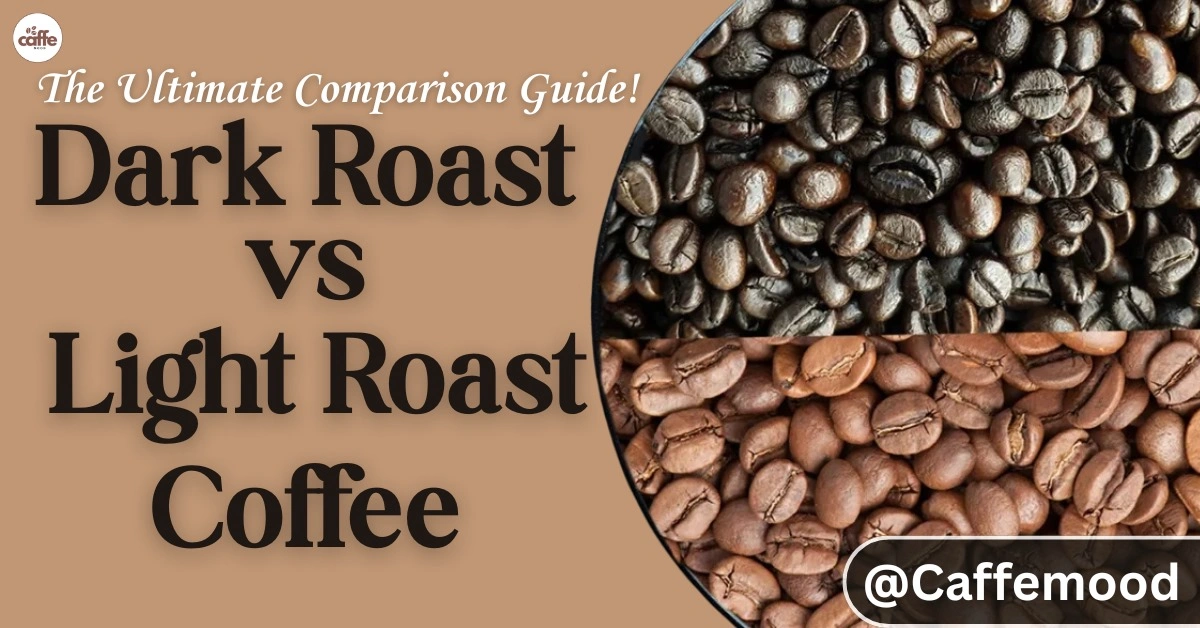 dark roast coffee vs light roast coffee