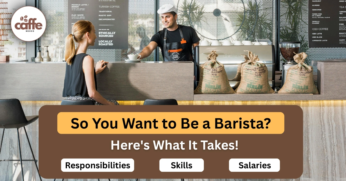 Barista Job Description